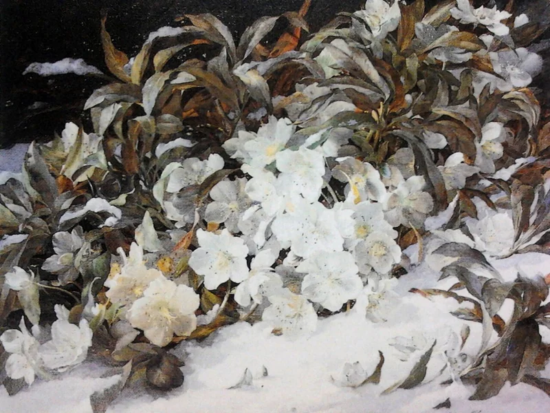 1829-William Jabez Muckley - Fiori invernali (1856)